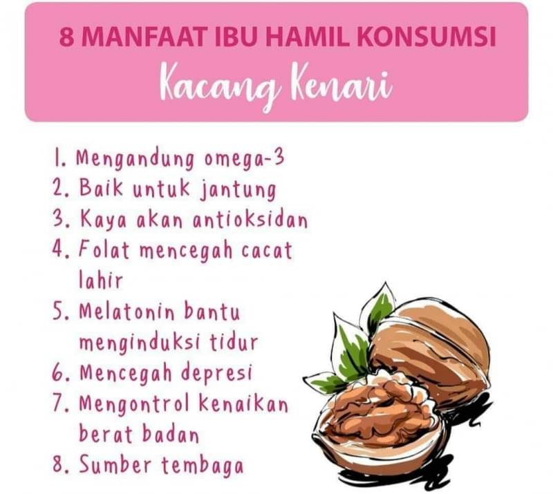 Manfaat Kacang Kenari