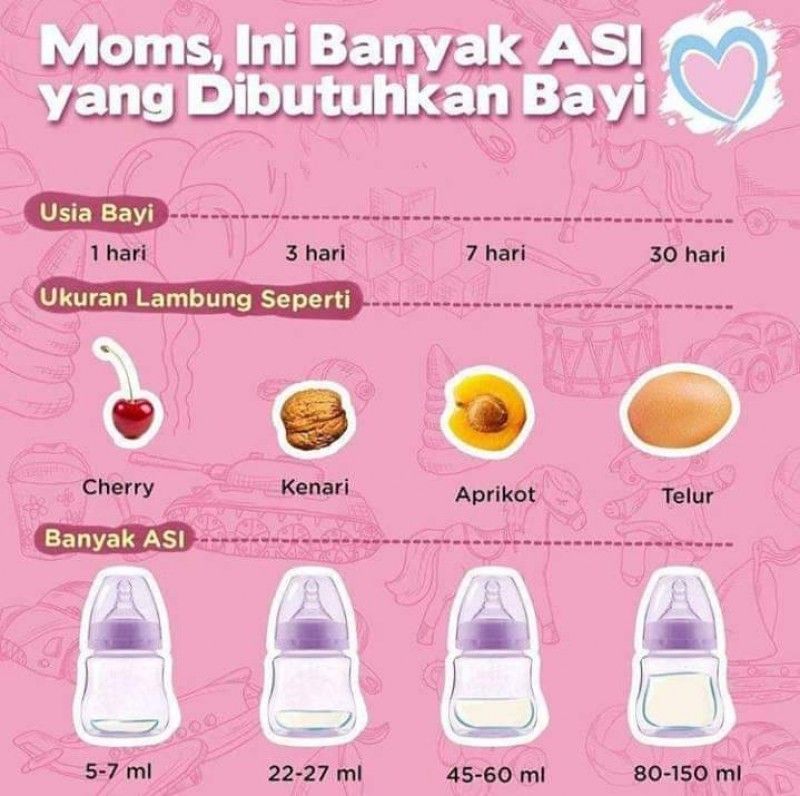 Ukuran Lambung Bayi | Popmama.com Community