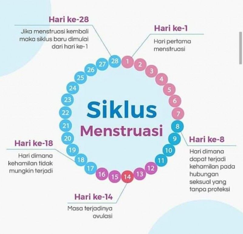 Perhitungan Siklus Haid | Popmama.com Community