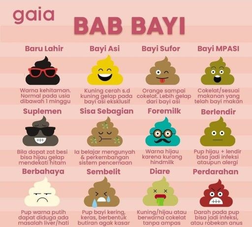 Warna Feses Bayi Asi Eksklusif - Guru Paud