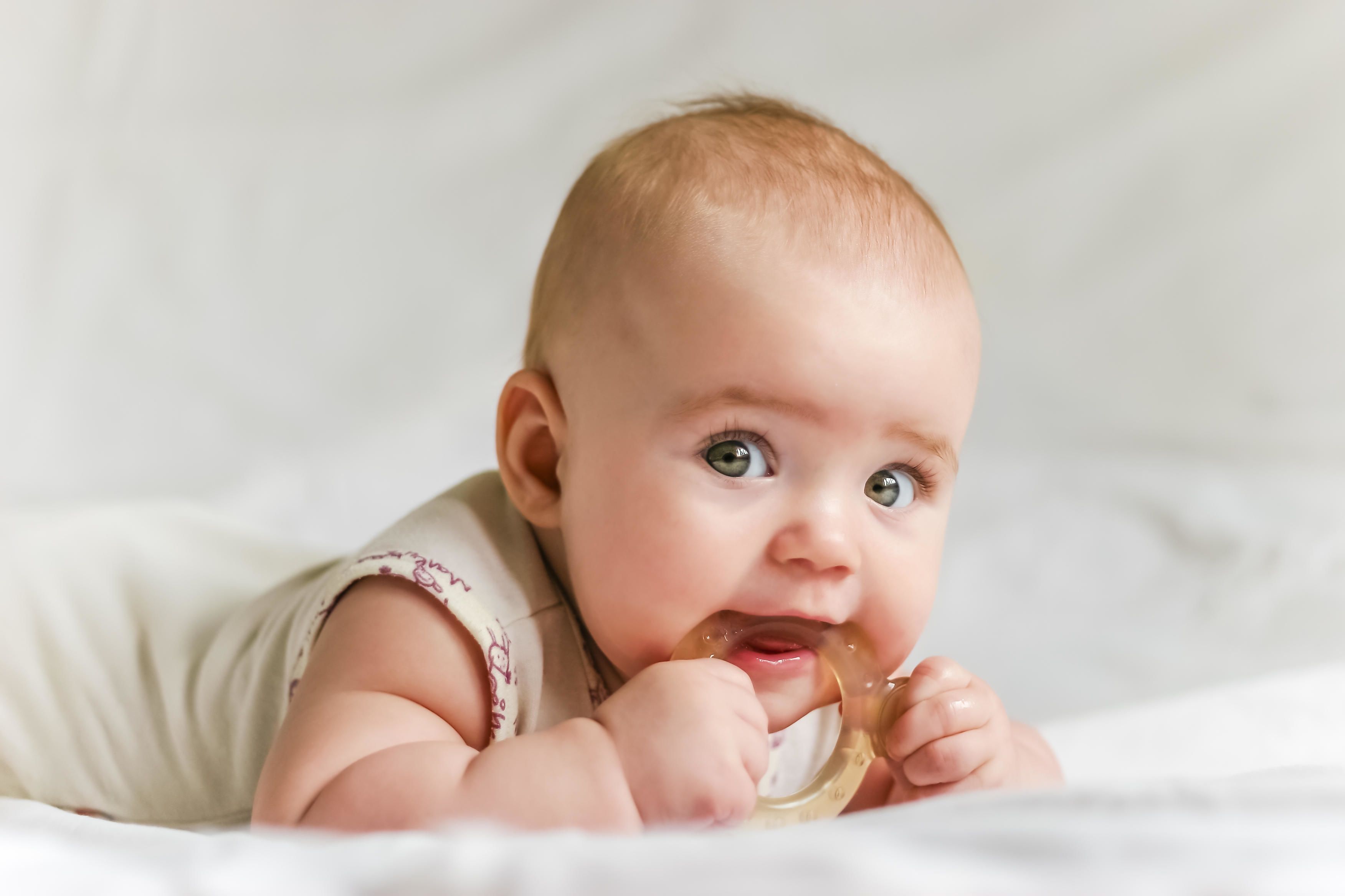 Perkembangan Sensorik Bayi Tahun Pertama