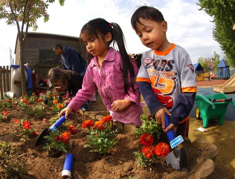 7. Berkebun