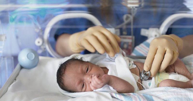 Hasil Penelitian tentang Menunda Pemotongan Tali Pusar Bayi Prematur