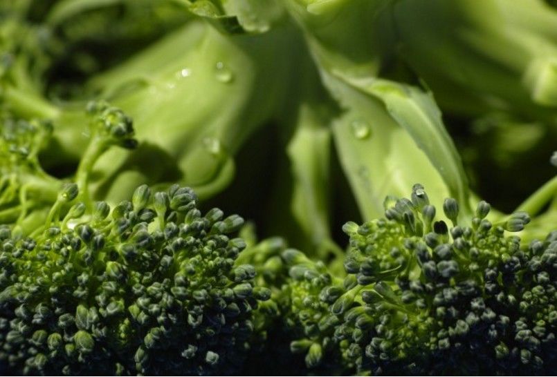 6. Brokoli sayuran hijau lainnya