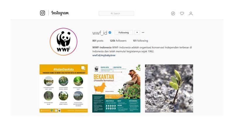 10. @wwf_id