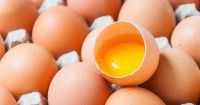 Sumber Protein, Ini 8 Resep MPASI Berbahan Dasar Telur