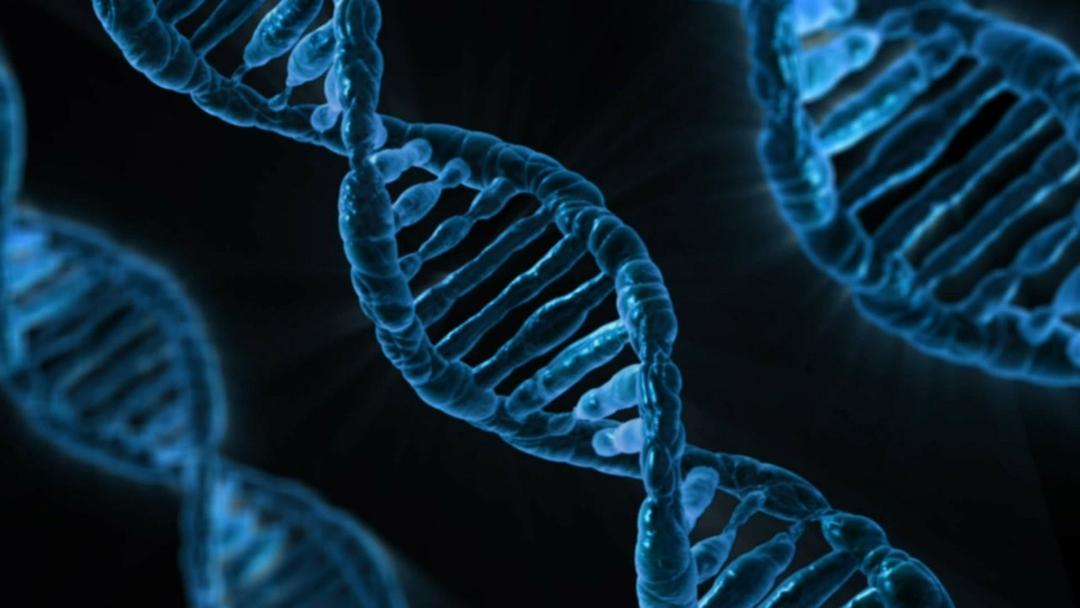 1. DNA