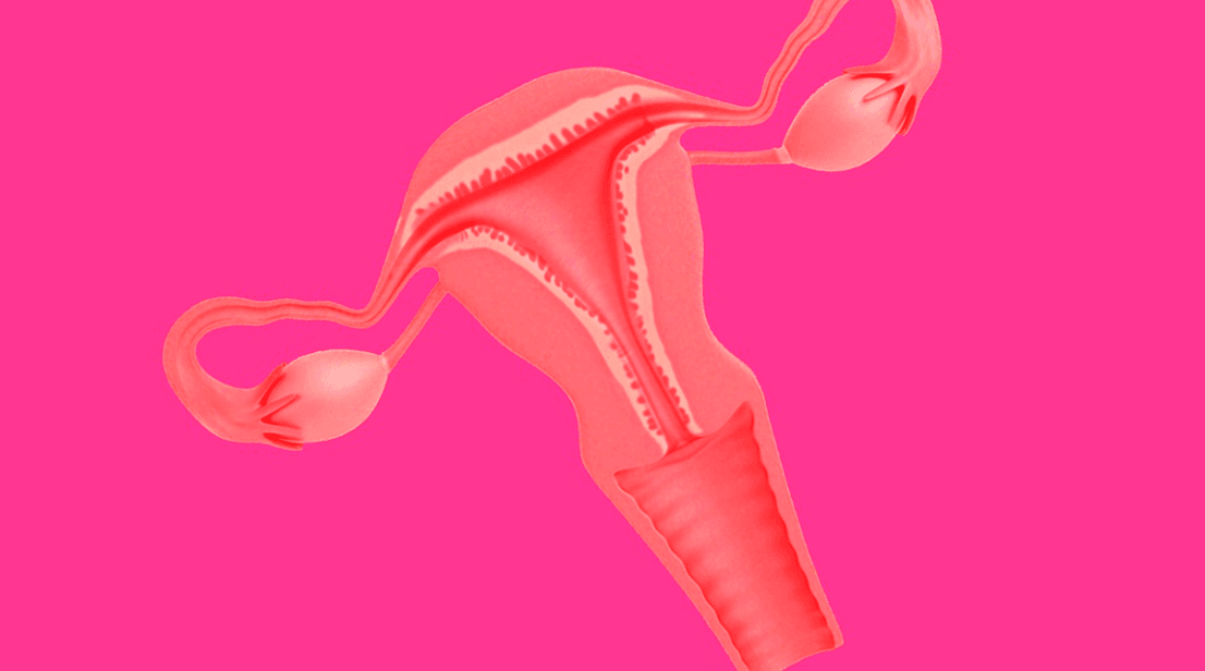1. Ketebalan dinding rahim dalam 1 siklus menstruasi