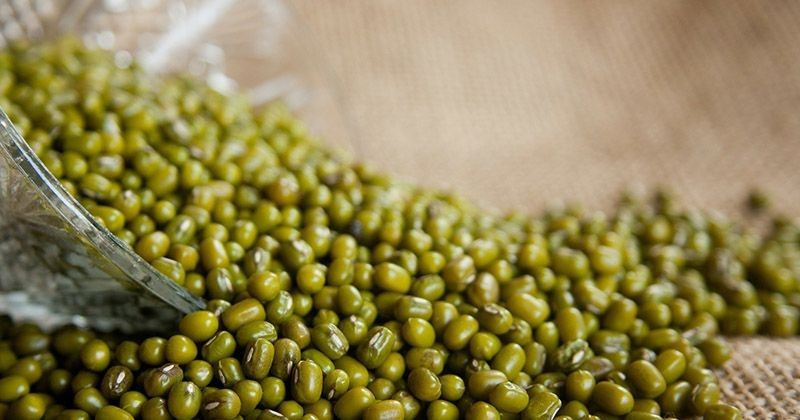 Nutrisi Dan Manfaat Kacang Hijau Untuk Ibu Hamil Tua Popmama Com