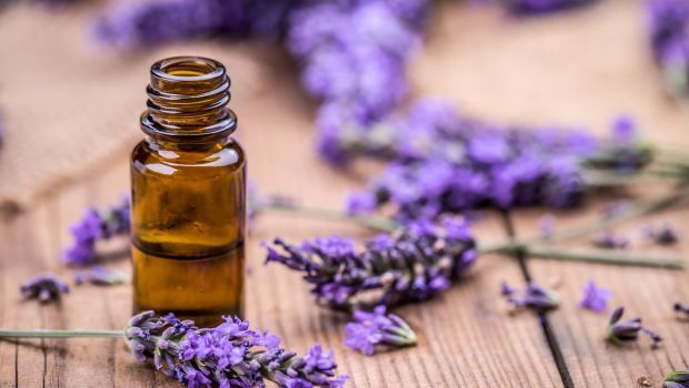 4. Selain tinggalkan wangi harum, lavender oil juga bisa basmi kutu busuk