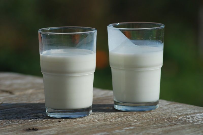 Susu Low Fat High Calcium Untuk Ibu Hamil - Info Tentang Susu