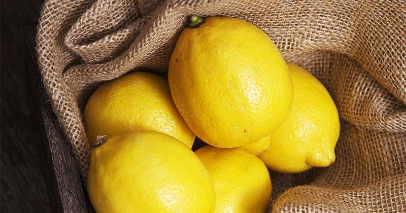 6. Bukan diminum, kali ini gunakan lemon buat basmi semut