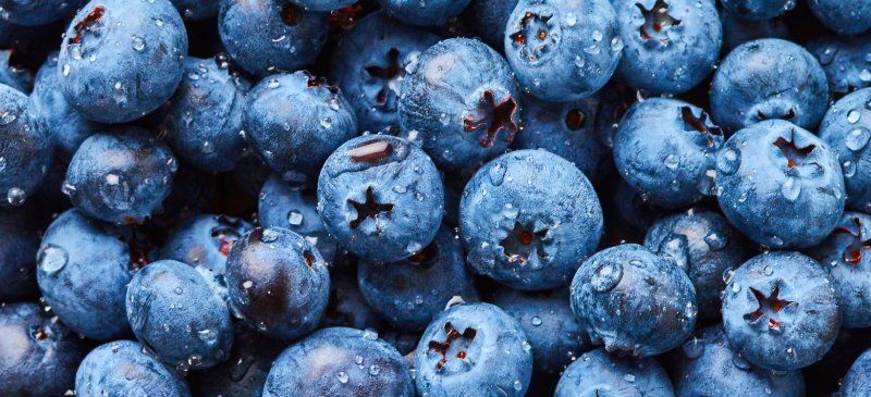 6. Blueberry mengandung serat soluble pectin dapat menyerap cairan dalam usus