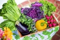 5 Jenis Sayuran Tingkatkan Produksi ASI