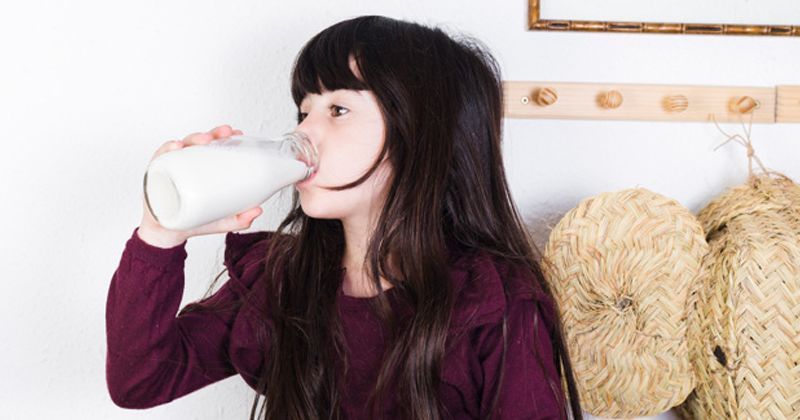 Manfaat Susu Kambing Si Kecil