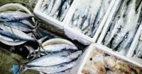 5. Jenis ikan bermerkuri