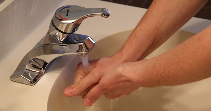 9. Cuci tangan ketika berinteraksi kandang, kotoran, kucingnya