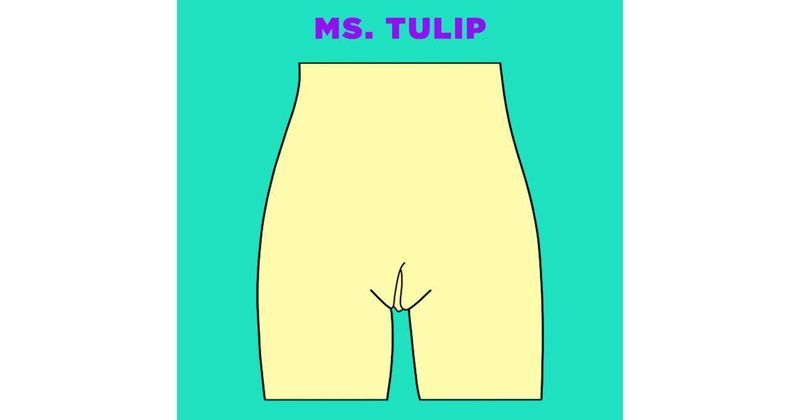 5. Ms. Tulip