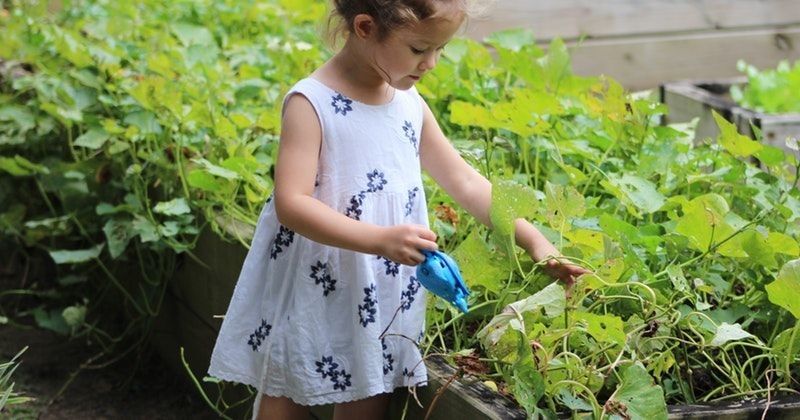 Punya Lahan Sempit Bukan Halangan Untuk Berkebun Popmama Com