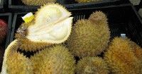 Musim Durian, Ini 6 Dampak Mengonsumsi saat Hamil Muda