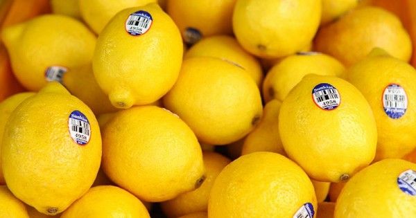 7 Manfaat Konsumsi Lemon Bagi Si Kecil Popmama 