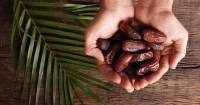 Kandungan Nutrisi Kurma
