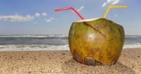 3. Cara memberikan air kelapa anak