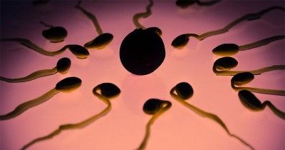Ketahui Oligospermia, Sedikitnya Jumlah Sperma Penyebab Ketidaksuburan