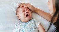 Bahaya Gigitan Kutu Bayi, Bikin Gatal Hingga Henti Napas