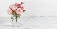10 Rekomendasi Bunga Valentine sebagai Tanda Cinta ke Pasangan