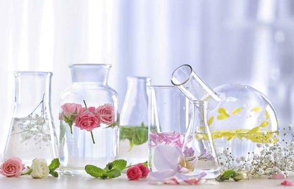 Untuk membuat minyak wangi dari bunga melati dapat dilakukan dengan cara