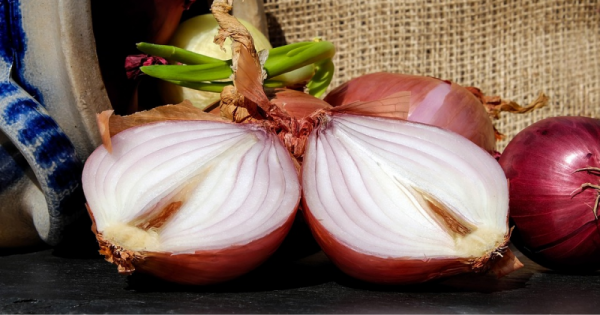 Ini Cara Menurunkan Panas Anak Dengan Bawang Merah Catat Orami