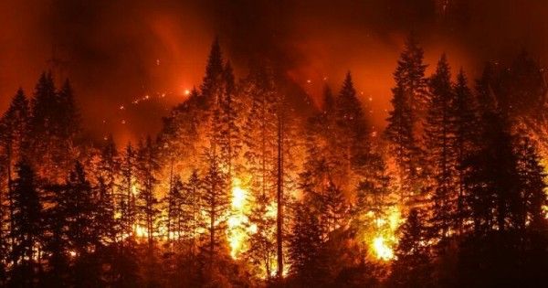 Gas efek rumah kaca yang dihasilkan dari bencana asap kebakaran lahan hutan mengandung senyawa
