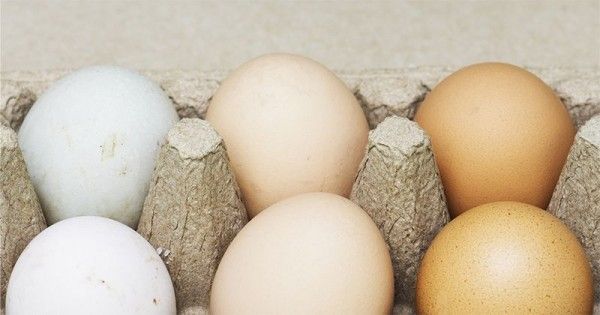 Manfaat Kuning Telur Bebek untuk Kesuburan | Popmama.com