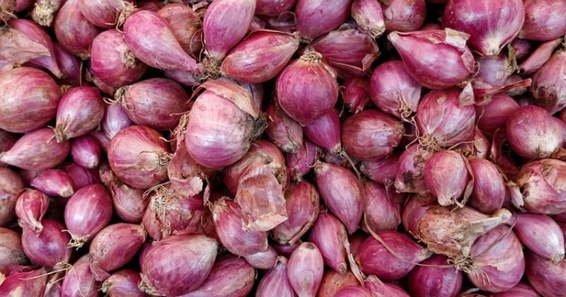 5. Simpan bawang merah dalam keranjang berpori