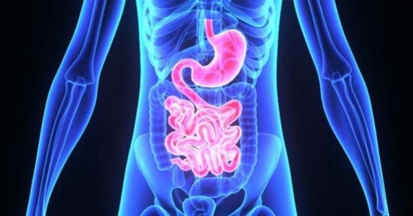 5 Kelebihan Bakteri Lactobacillus Sebagai Probiotik Popmama Com