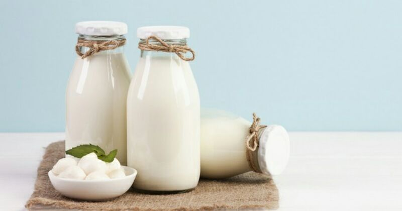 Kambing bayi susu untuk Bisakah Susu