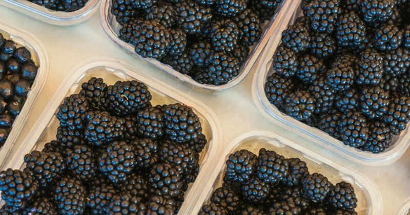 5 Jenis Buah Berry Memiliki Manfaat Baik untuk Kesehatan 