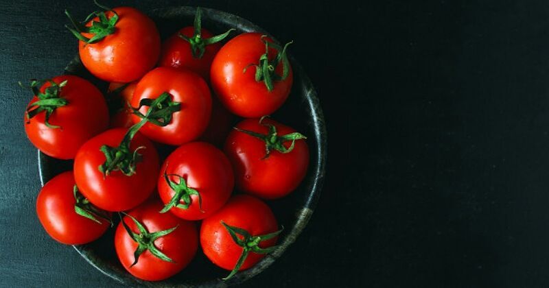 10. Letakkan sisi batang tomat dibawah