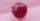 4. Red globe begitu renyah dan cukup lembut saat dimakan