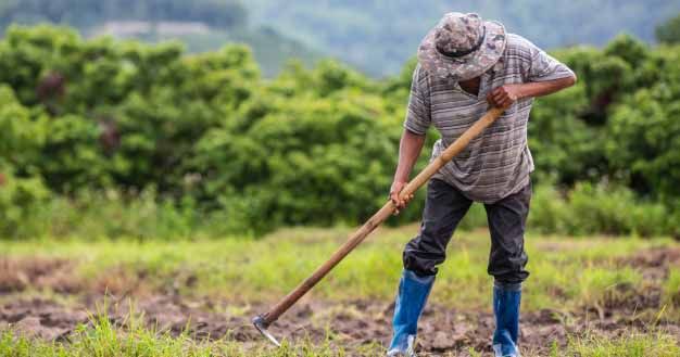 5. Mengancam ekosistem keragaman makhluk hidup