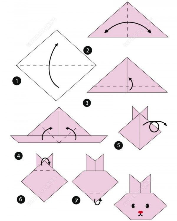 5 Cara Mudah Membuat Origami Hewan | Popmama.com