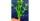 10. Hygrophila Difformis