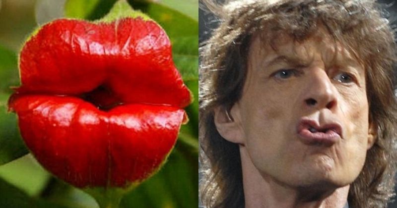 10. Mick Jagger’s Lip