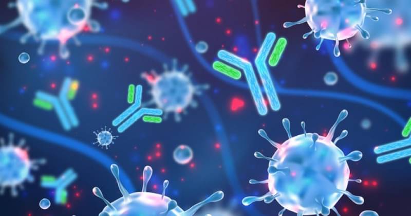 Duration of Antibody Formed after Covid-19 Vaccination