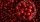 4. Cranberry membantu mengatasi infeksi saluran kemih