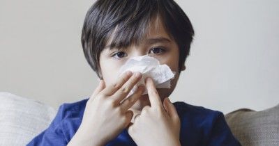Alergi Tungau Debu Penyebab, Gejala, Cara Mengatasinya