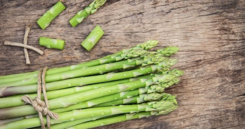 Mengenal Khasiat Dan Manfaat Sayur Asparagus Bagi Kesehatan Total My