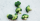 6. Bubur brokoli udang