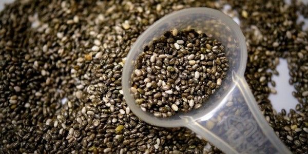 Manfaat Chia Seed Untuk Program Hamil Popmama 